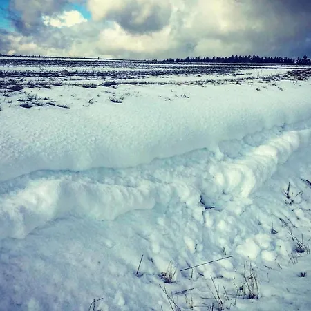 Апартаменты Gaestehaus Siebert By Interhome