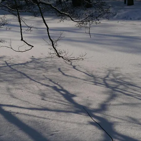 Gaestehaus Siebert By Interhome Апартаменты Бад-Брамбах