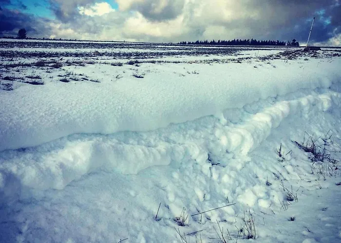 Lejlighed Gaestehaus Siebert By Interhome