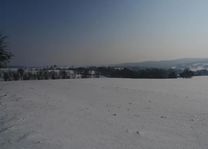 Gaestehaus Siebert By Interhome Bad Brambach