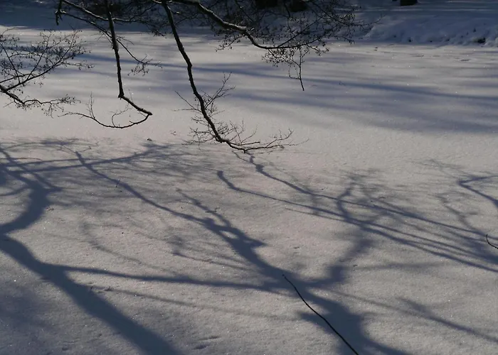 Gaestehaus Siebert By Interhome Apartman Bad Brambach